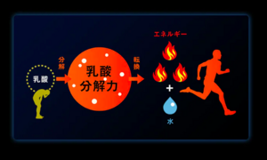 スクリーンショット 2025-03-23 17.08.37.png