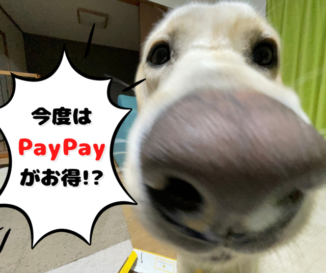 今度はPayPay がお得!.png