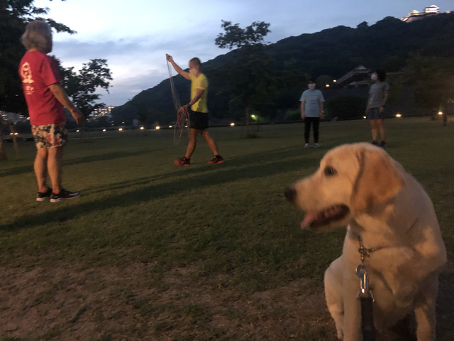 IMG_0626.jpeg