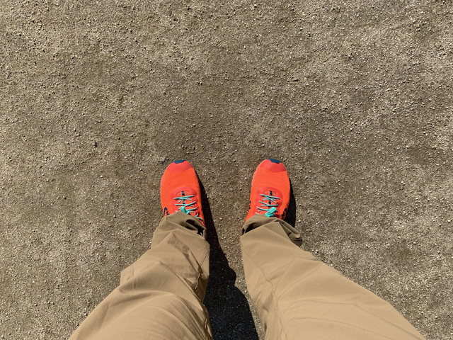 IMG_1345.jpeg