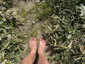IMG_1682.jpeg