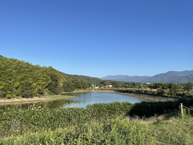 IMG_2943.jpeg