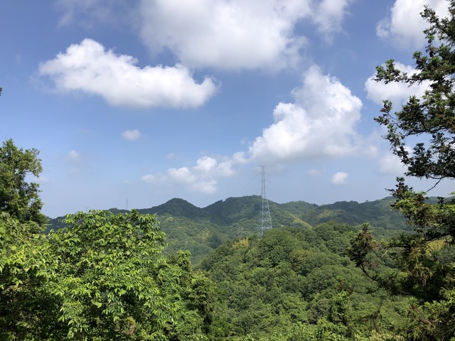 IMG_3146.jpeg