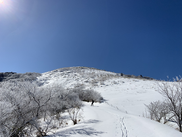 IMG_3445.jpeg