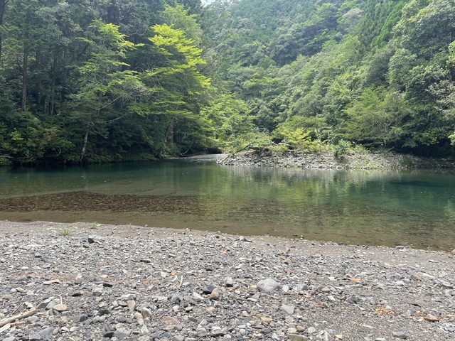 IMG_3948.jpeg