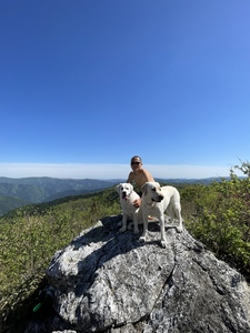 IMG_5429.JPG