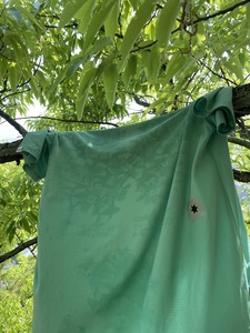 IMG_7212.jpeg