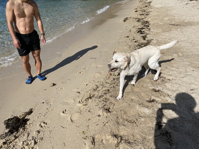 IMG_8225.jpeg