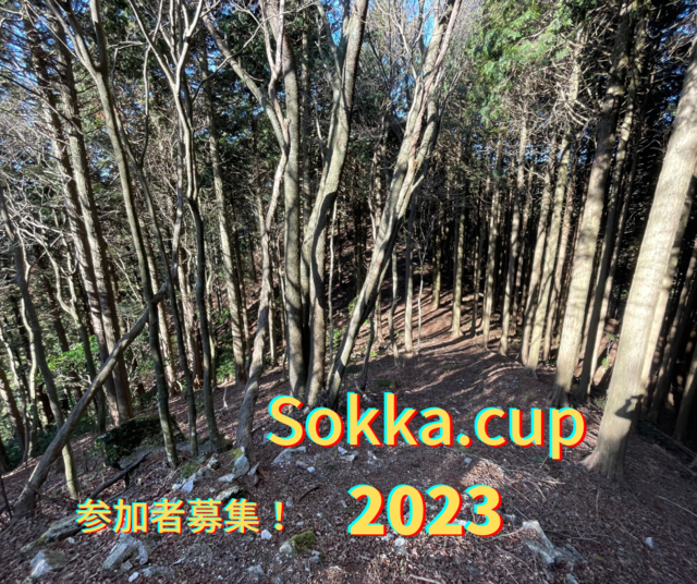 Sokka.cup 2023.png