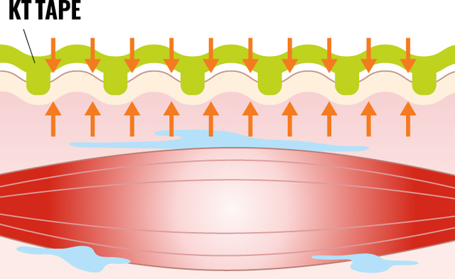 fig2.jpg